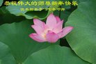 Published on 12/29/2016 ���ֹ�,��½�󷨵��ӹ�ףʦ�������(36��)