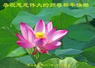 Published on 12/29/2016 ���ֹ�,��½�󷨵��ӹ�ףʦ�������(36��)