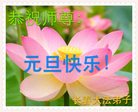 Published on 12/30/2016 ���ֹ�,����ҵ�󷨵��ӹ�ףʦ�������(32��)