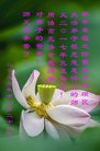 ֹ,󷨵ӹףʦ(25)