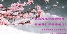 Published on 12/31/2016 ���ֹ�,��½���취˾�����������Ӵ󷨵��ӹ�ףʦ�������