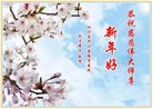 Published on 12/30/2016 ���ֹ�,��½�󷨵��ӹ�ףʦ�������(33��)