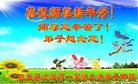 Published on 12/29/2016 ���ֹ�,��½�󷨵��ӹ�ףʦ�������(31��)
