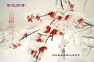 Published on 12/30/2016 ���ֹ�,��½�󷨵��ӹ�ףʦ�������(27��)
