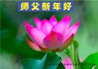 Published on 12/30/2016 ���ֹ�,��½�󷨵��ӹ�ףʦ�������(35��)