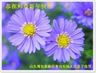 Published on 1/27/2017 ���ֹ�,����ϵͳ�󷨵��ӹ�ףʦ�������(23��)