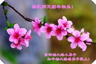 Published on 12/31/2016 ���ֹ�,С���ӹ�ףʦ�������(21��)
