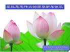 Published on 12/30/2016 ���ֹ�,��½�󷨵��ӹ�ףʦ�������(27��)