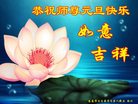 Published on 12/30/2016 ���ֹ�,��½�󷨵��ӹ�ףʦ�������(27��)