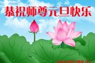 Published on 12/31/2016 ���ֹ�,��½�󷨵��ӹ�ףʦ�������(41��)