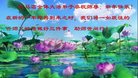 Published on 12/31/2016 ���ֹ�,��½�󷨵��ӹ�ףʦ�������(41��)
