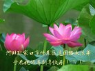 Published on 1/1/2017 ���ֹ�,��½�󷨵��ӹ�ףʦ�������(37��)