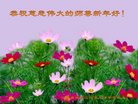 Published on 12/31/2016 ���ֹ�,��½�󷨵��ӹ�ףʦ�������(41��)