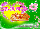 Published on 12/30/2016 ���ֹ�,��½�󷨵��ӹ�ףʦ�������(33��)