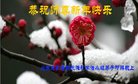 Published on 12/30/2016 ���ֹ�,��½�󷨵��ӹ�ףʦ�������(27��)