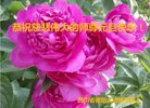 Published on 12/30/2016 ���ֹ�,��½�󷨵��ӹ�ףʦ�������(27��)