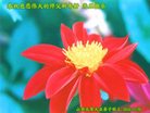 Published on 12/31/2016 ���ֹ�,��½�󷨵��ӹ�ףʦ�������(34��)
