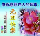 Published on 12/31/2016 ���ֹ�,��½�󷨵��ӹ�ףʦ�������(26��)