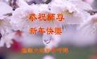 Published on 12/30/2016 ���ֹ�,��½�󷨵��ӹ�ףʦ�������(27��)