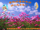 Published on 12/31/2016 ���ֹ�,��½�󷨵��ӹ�ףʦ�������(46��)