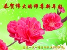 Published on 12/31/2016 ���ֹ�,��½�󷨵��ӹ�ףʦ�������(44��)