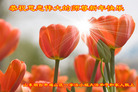 Published on 12/30/2016 ���ֹ�,��½�󷨵��ӹ�ףʦ�������(27��)