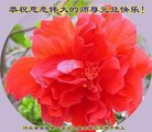 Published on 12/31/2016 ���ֹ�,��½�󷨵��ӹ�ףʦ�������(43��)