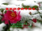 Published on 12/31/2016 ���ֹ�,��½�󷨵��ӹ�ףʦ�������(26��)
