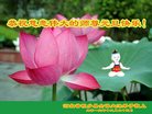 Published on 12/31/2016 ���ֹ�,��½�󷨵��ӹ�ףʦ�������(26��)