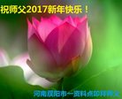 Published on 12/31/2016 ���ֹ�,��½�󷨵��ӹ�ףʦ�������(26��)