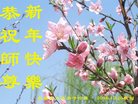 Published on 12/31/2016 ���ֹ�,��½�󷨵��ӹ�ףʦ�������(26��)