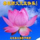 Published on 12/30/2016 ���ֹ�,��½�󷨵��ӹ�ףʦ�������(27��)
