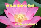 Published on 12/30/2016 ���ֹ�,��½�󷨵��ӹ�ףʦ�������(27��)