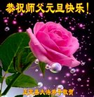 Published on 12/30/2016 ���ֹ�,��½�󷨵��ӹ�ףʦ�������(27��)