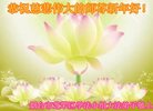 Published on 12/30/2016 ���ֹ�,��½�󷨵��ӹ�ףʦ�������(27��)