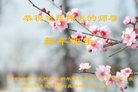 Published on 12/30/2016 ���ֹ�,��½�󷨵��ӹ�ףʦ�������(27��)