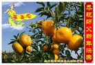 Published on 12/30/2016 ���ֹ�,��½�󷨵��ӹ�ףʦ�������(27��)