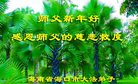Published on 12/31/2016 ���ֹ�,��½�󷨵��ӹ�ףʦ�������(34��)
