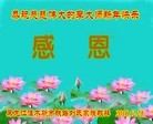 Published on 12/31/2016 ���ֹ�,���������˹�ף���־��ʦ�����(29��)