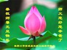 Published on 12/30/2016 ���ֹ�,���󷨵��ӹ�ףʦ�������(28��)