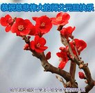 Published on 12/30/2016 ���ֹ�,��½�󷨵��ӹ�ףʦ�������(33��)