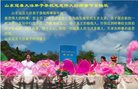 Published on 12/30/2016 ���ֹ�,��½�󷨵��ӹ�ףʦ�������(35��)