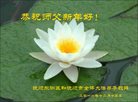 Published on 12/30/2016 ���ֹ�,��½�󷨵��ӹ�ףʦ�������(35��)