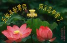 ֹ,󷨵ӹףʦ(25)