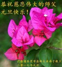 Published on 12/30/2016 ���ֹ�,��½�󷨵��ӹ�ףʦ�������(37��)