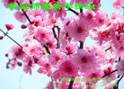 Published on 12/31/2016 ���ֹ�,��½�󷨵��ӹ�ףʦ�������(39��)