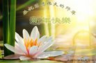 Published on 12/29/2016 ���ֹ�,��½�󷨵��ӹ�ףʦ�������(30��)