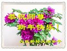 Published on 12/30/2016 ���ֹ�,��½�󷨵��ӹ�ףʦ�������(29��)