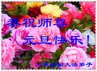 Published on 12/30/2016 ���ֹ�,��½�󷨵��ӹ�ףʦ�������(29��)