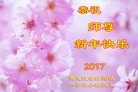 Published on 12/31/2016 ���ֹ�,��½�󷨵��ӹ�ףʦ�������(47��)